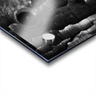 3650 Charred Wood Acrylic print