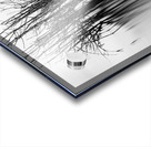 7240 Shadows Acrylic print