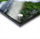 2557 Wahclella Falls Acrylic print