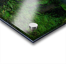 2572 Wahclella Falls Acrylic print