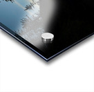 07A0160 Deadman’s Cove Acrylic print