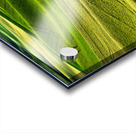 SLP0304 Palouse Acrylic print