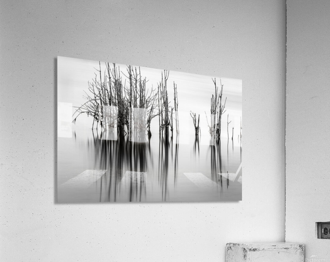 7240 Shadows Acrylic Print