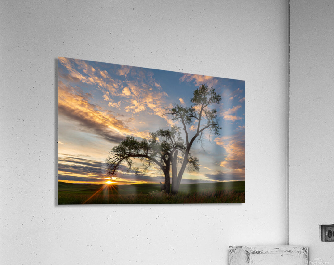 8455 Palouse Acrylic Print