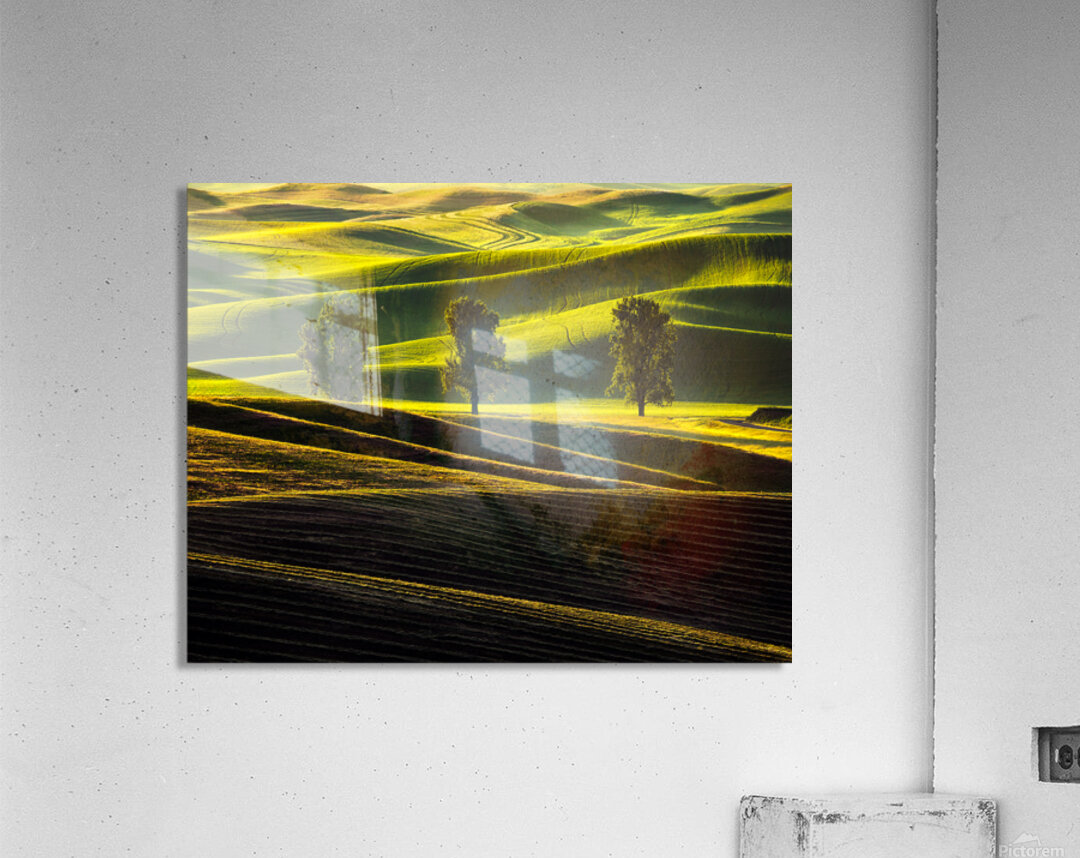 SLP0401 Palouse Acrylic Print