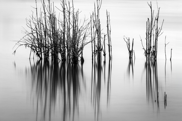 7240 Shadows by Searching Lens Photography