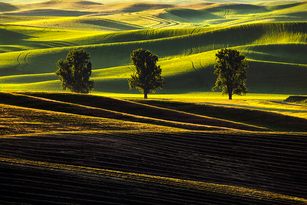 SLP0401 Palouse by Searching Lens Photography