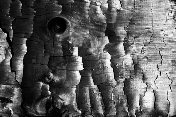 3650 Charred Wood by Searching Lens Photography