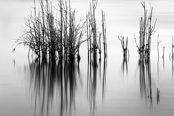 7240 Shadows by Searching Lens Photography