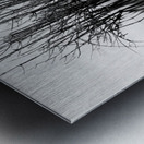 7240 Shadows Metal print