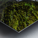 2526 Elowah Falls Metal print