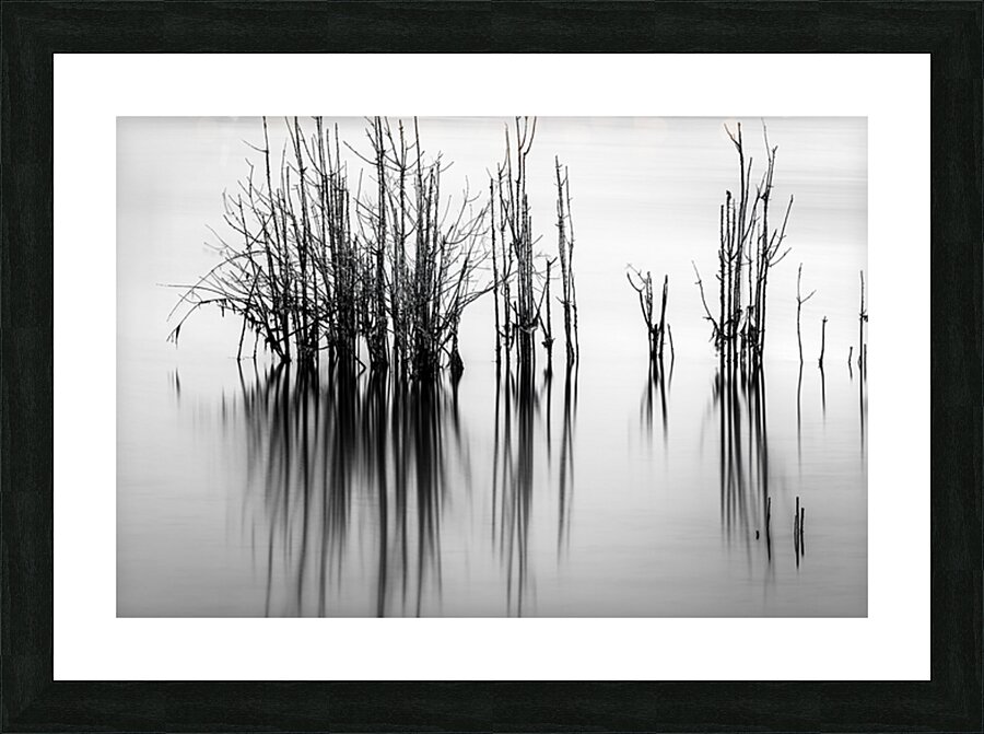 7240 Shadows Picture Frame print