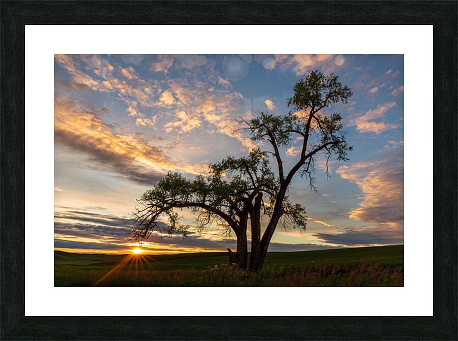 8455 Palouse Picture Frame print