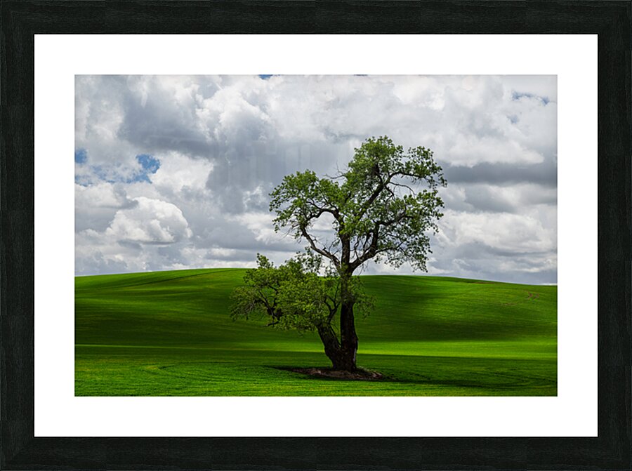 8720 Palouse Picture Frame print