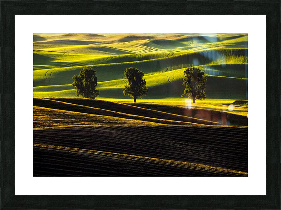 SLP0401 Palouse Picture Frame print