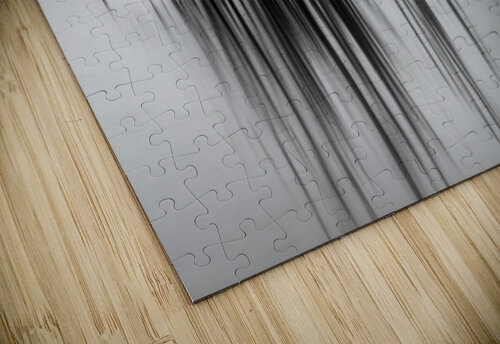 7240 Shadows Searching Lens Photography puzzle