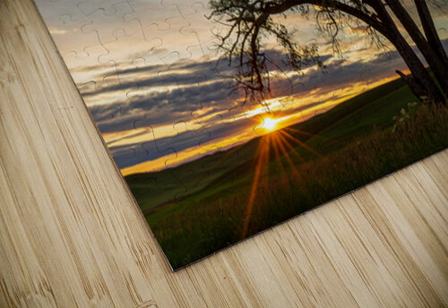 8455 Palouse Searching Lens Photography puzzle