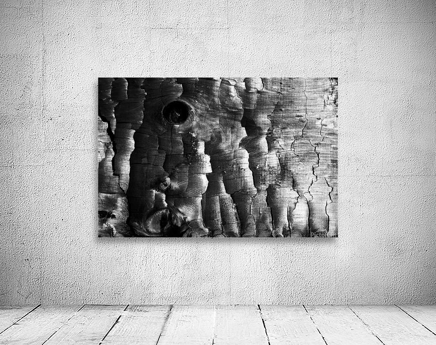 3650 Charred Wood Wall Preview