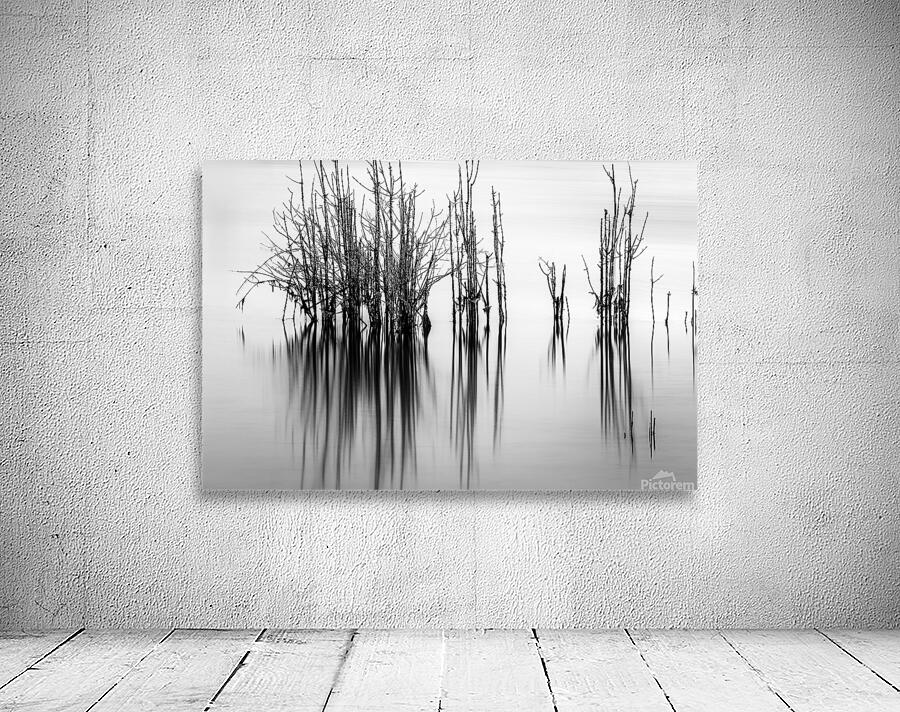 7240 Shadows Wall Preview