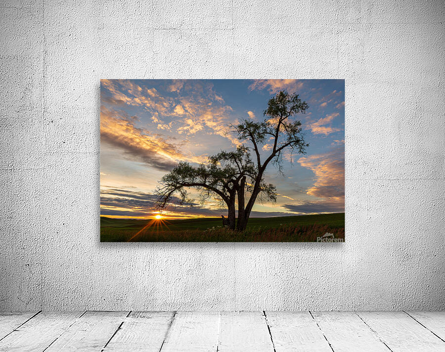 8455 Palouse Wall Preview