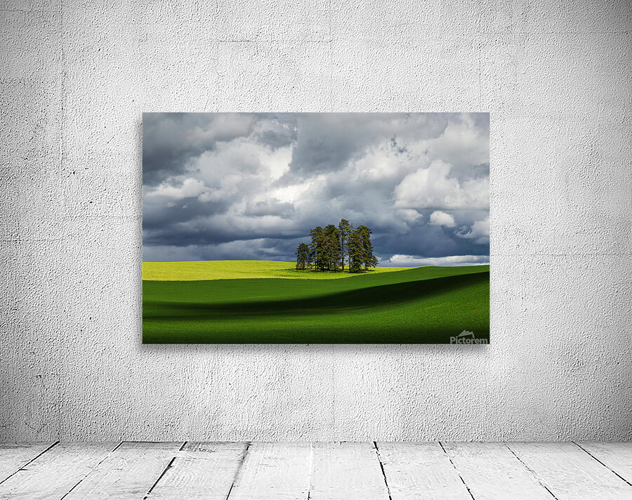 8806 Palouse Wall Preview