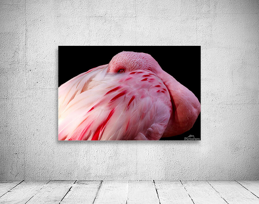 0212 Flamingo Wall Preview