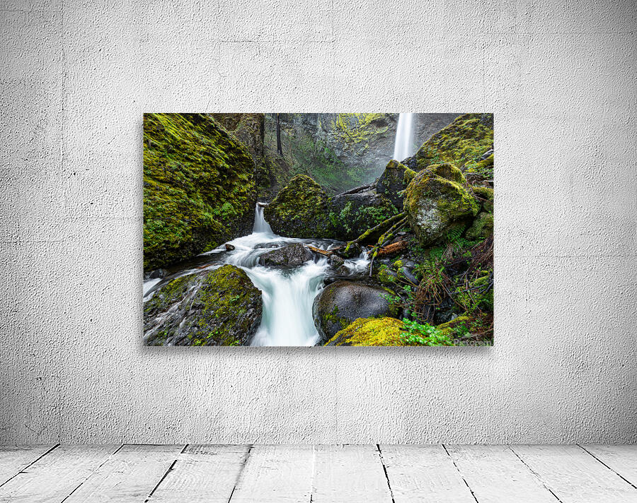 2526 Elowah Falls Wall Preview