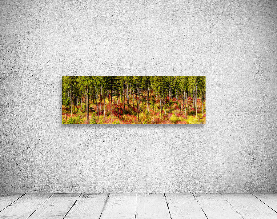 9395 Forest panorama Wall Preview