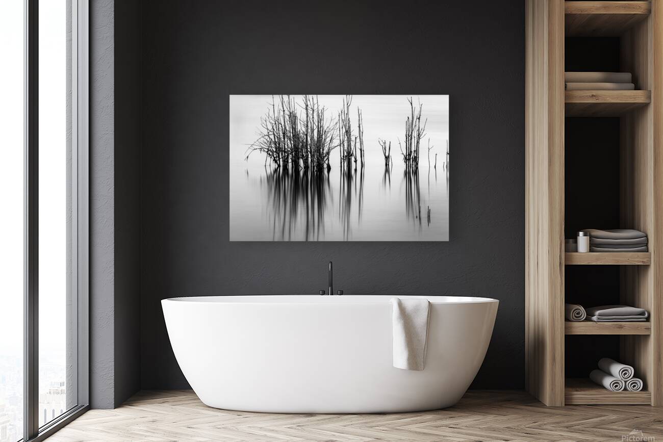 7240 Shadows Reproduction