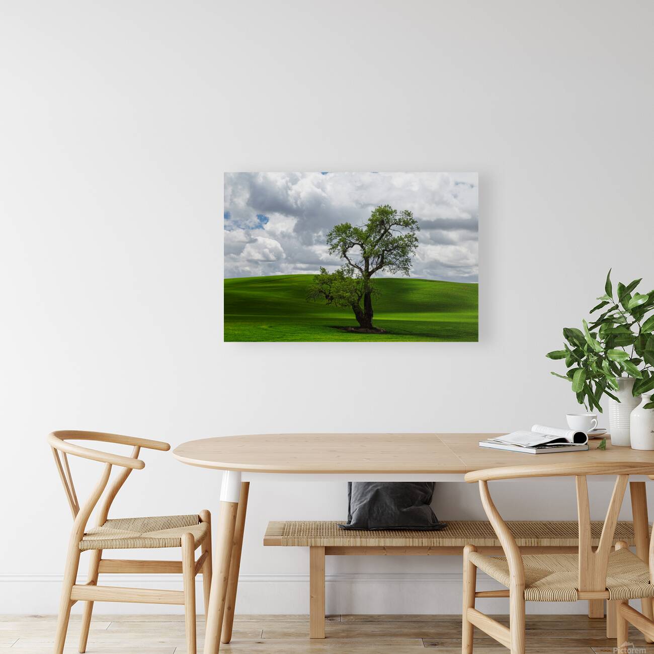 8720 Palouse Reproduction