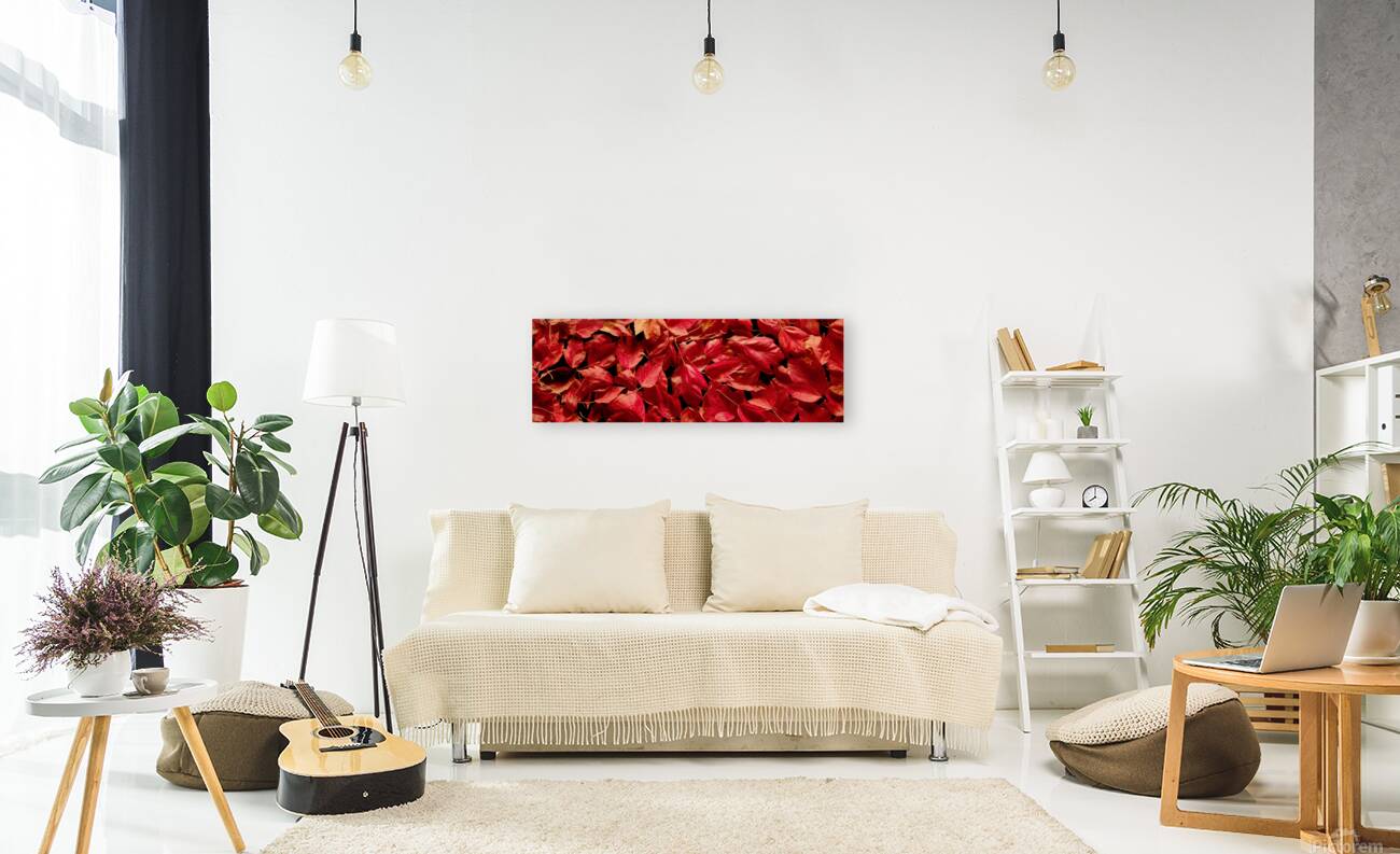 Autumn Red Leaf Panorama Reproduction